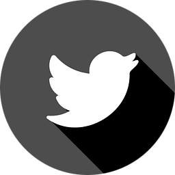 Twitter icon